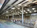 Divers a vendre Le Saint 56110 Morbihan 56 1 m2 335600 euros 56075-2414 010
