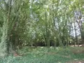 Maison a vendre Pédernec 22540 Côtes-d'Armor 22 94 m2 5 pièces 176700 euros 22069-1954 014