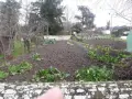 Location maison Longuenée-en-Anjou 49770 Maine-et-Loire 49 53 m2 2 pièces 630 euros 49114-L5 009
