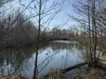Terrains de loisirs bois etangs a vendre Glisy 80440 Somme 80 100000 euros 80121-2778 001