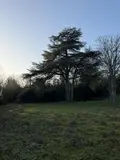 Maison a vendre Cholet 49300 Maine-et-Loire 49 123 m2 6 pièces 313500 euros 49055-84 014