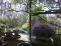Viager maison Forcalquier 04300 Alpes-de-Haute-Provence 04 109 m2 5 pièces 120000 euros 04022-127 002