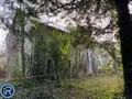 Maison a vendre Louverné 53950 Mayenne 53 124 m2 6 pièces 228800 euros 53004-1290 002