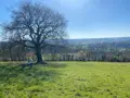 Terrains de loisirs bois etangs a vendre Tessy-Bocage 50420 Manche 50 19800 euros 50038-2579 003