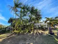 Divers a vendre Saint-Pierre 97410 La Réunion 974 53 m2 520000 euros 97410-761 001
