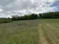 Terrain a batir a vendre Fismes 51170 Marne 51 23700 euros 51066-1345 012