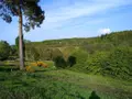 Terrain a batir a vendre La Trinité-de-Réville 27270 Eure 27 29680 euros 14058-1522 004