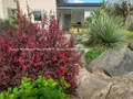 Maison a vendre Louannec 22700 Côtes-d'Armor 22 150 m2 5 pièces 630496 euros 22093-67 015