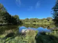 Terrains de loisirs bois etangs a vendre Saint-Christophe-du-Luat 53150 Mayenne 53 84320 euros 53078-1877 001