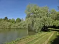 Terrains de loisirs bois etangs a vendre La Roche-Neuville 53200 Mayenne 53 95700 euros 53073-1758 004