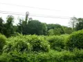 Terrains de loisirs bois etangs a vendre Plouray 56770 Morbihan 56 15990 euros 56075-2387 007