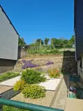 Maison a vendre La Chèze 22210 Côtes-d'Armor 22 50 m2 3 pièces 84080 euros 56053-2544 008