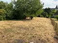 Terrain a batir a vendre Genillé 37460 Indre-et-Loire 37 676 m2 27500 euros 37089/2022/23 001