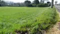 Terrain a batir a vendre Malause 82200 Tarn-et-Garonne 82 2600 m2 39000 euros 1467 005