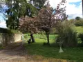 Maison a vendre Cherré-Au 72400 Sarthe 72 149 m2 5 pièces 163800 euros 328 012