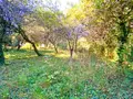 Terrain a batir a vendre Plougastel-Daoulas 29470 Finistère 29 900 m2 141000 euros PLOUG-Lot A 001