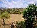 Propriete a vendre Rivière-Salée 97215 Martinique 972 170 m2 4 pièces 480000 euros achat_propriete_com_97221_97215 002
