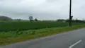 Terrain a batir a vendre Lamagistère 82360 Tarn-et-Garonne 82 25000 m2 198000 euros 1464 001