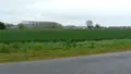 Terrain a batir a vendre Lamagistère 82360 Tarn-et-Garonne 82 25000 m2 198000 euros 1464 002
