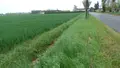 Terrain a batir a vendre Lamagistère 82360 Tarn-et-Garonne 82 25000 m2 198000 euros 1464 003