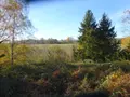 Terrains de loisirs bois etangs a vendre Soizé 28330 Eure-et-Loir 28 6200 euros SOI 938 001