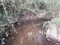 Bien agricole a vendre Brousse-le-Château 12480 Aveyron 12 70000 euros Me CUNIENQ 006
