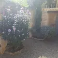 Maison a vendre Saint-Jean-de-Vaux 71640 Saône-et-Loire 71 170 m2 7 pièces 575000 euros achat_maison_com_71430_71640 020