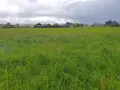 Terrain a batir a vendre Valence 82400 Tarn-et-Garonne 82 15446 m2 307400 euros 1461 001