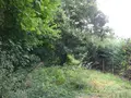 Divers a vendre Marolles-les-Buis 28400 Eure-et-Loir 28 6200 euros MLB 957 002