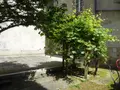Appartement a vendre Dinan 22100 Côtes-d'Armor 22 74 m2 3 pièces 255348 euros 1830 008