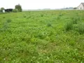 Terrain a batir a vendre Gigny-sur-Saône 71240 Saône-et-Loire 71 36000 euros 2024-16 003