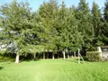 Maison a vendre La Chapelle-aux-Filtzméens 35190 Ille-et-Vilaine 35 135 m2 5 pièces 418000 euros 1845 008