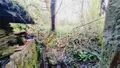 Maison a vendre Champsevraine 52500 Haute-Marne 52 100 m2 6 pièces 19000 euros achat_maison_com_52083_52500 002