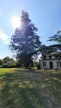 Maison a vendre Guilly 36150 Indre 36 175 m2 7 pièces 150500 euros LV026 005