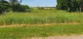 Terrain a batir a vendre Gasques 82400 Tarn-et-Garonne 82 580 m2 33000 euros 1520 002
