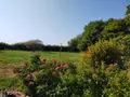 Maison a vendre Villeneuve-les-Genêts 89350 Yonne 89 229 m2 8 pièces 228333 euros 1008223 016