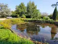Maison a vendre Villeneuve-les-Genêts 89350 Yonne 89 229 m2 8 pièces 228333 euros 1008223 019