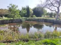 Maison a vendre Villeneuve-les-Genêts 89350 Yonne 89 229 m2 8 pièces 228333 euros 1008223 020