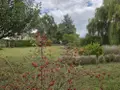 Terrain a batir a vendre Sermiers 51500 Marne 51 335000 euros achat_terrain_a_batir_com_51532_51500 010