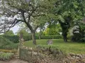 Terrain a batir a vendre Sermiers 51500 Marne 51 335000 euros achat_terrain_a_batir_com_51532_51500 006