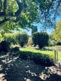 Propriete a vendre Montpellier 34000 Hérault 34 290 m2 10 pièces 945000 euros 1051976 011