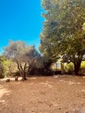 Propriete a vendre Montpellier 34000 Hérault 34 290 m2 10 pièces 945000 euros 1051976 012