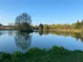 Terrains de loisirs bois etangs a vendre Feignies 59750 Nord 59 289200 euros A2025 00133 002