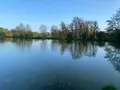 Terrains de loisirs bois etangs a vendre Feignies 59750 Nord 59 289200 euros A2025 00133 003