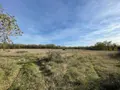 Terrains de loisirs bois etangs a vendre Assier 46320 Lot 46 23000 euros 25.029 005