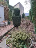 Maison a vendre Berlaimont 59145 Nord 59 110 m2 7 pièces 94000 euros achat_maison_com_59068_59145 007