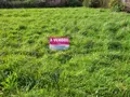 Terrain a batir a vendre Carantec 29660 Finistère 29 109200 euros JMA 106 001