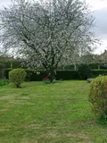 Maison a vendre Fresnay-sur-Sarthe 72130 Sarthe 72 101 m2 5 pièces 139125 euros MA399 007