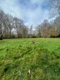 Maison a vendre Pleudihen-sur-Rance 22690 Côtes-d'Armor 22 352 m2 6 pièces 450000 euros CF/2026/01 012