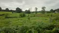 Bien agricole a vendre La Lucerne-d'Outremer 50320 Manche 50 6600 euros CD LLO TA 1 001